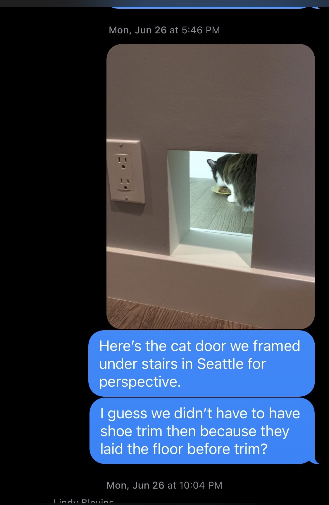doorcat2