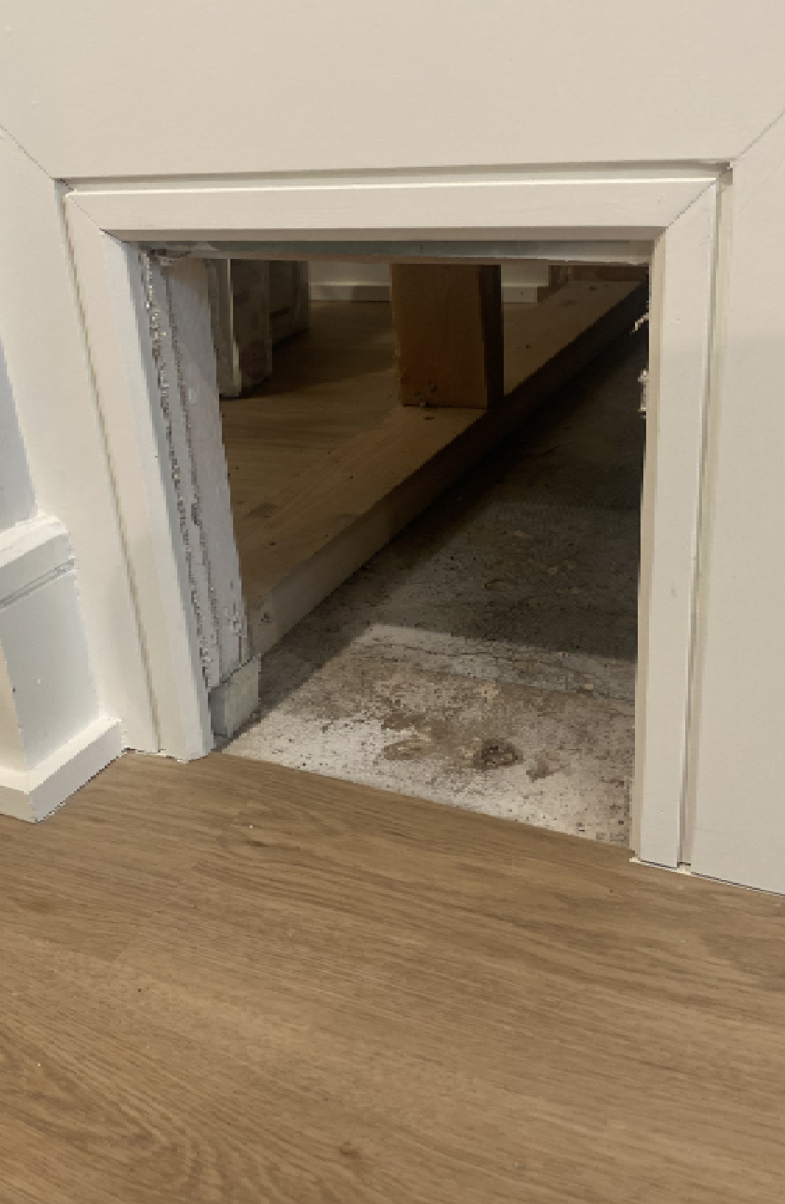 doorcat2